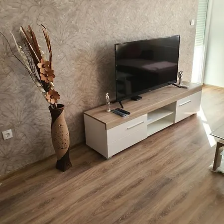 Apartment Banija *