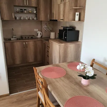 Apartment Banija *