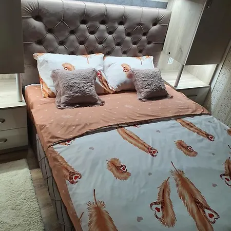 Apartment Banija Banja Koviljaca