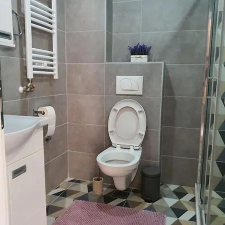 Apartment Banija *